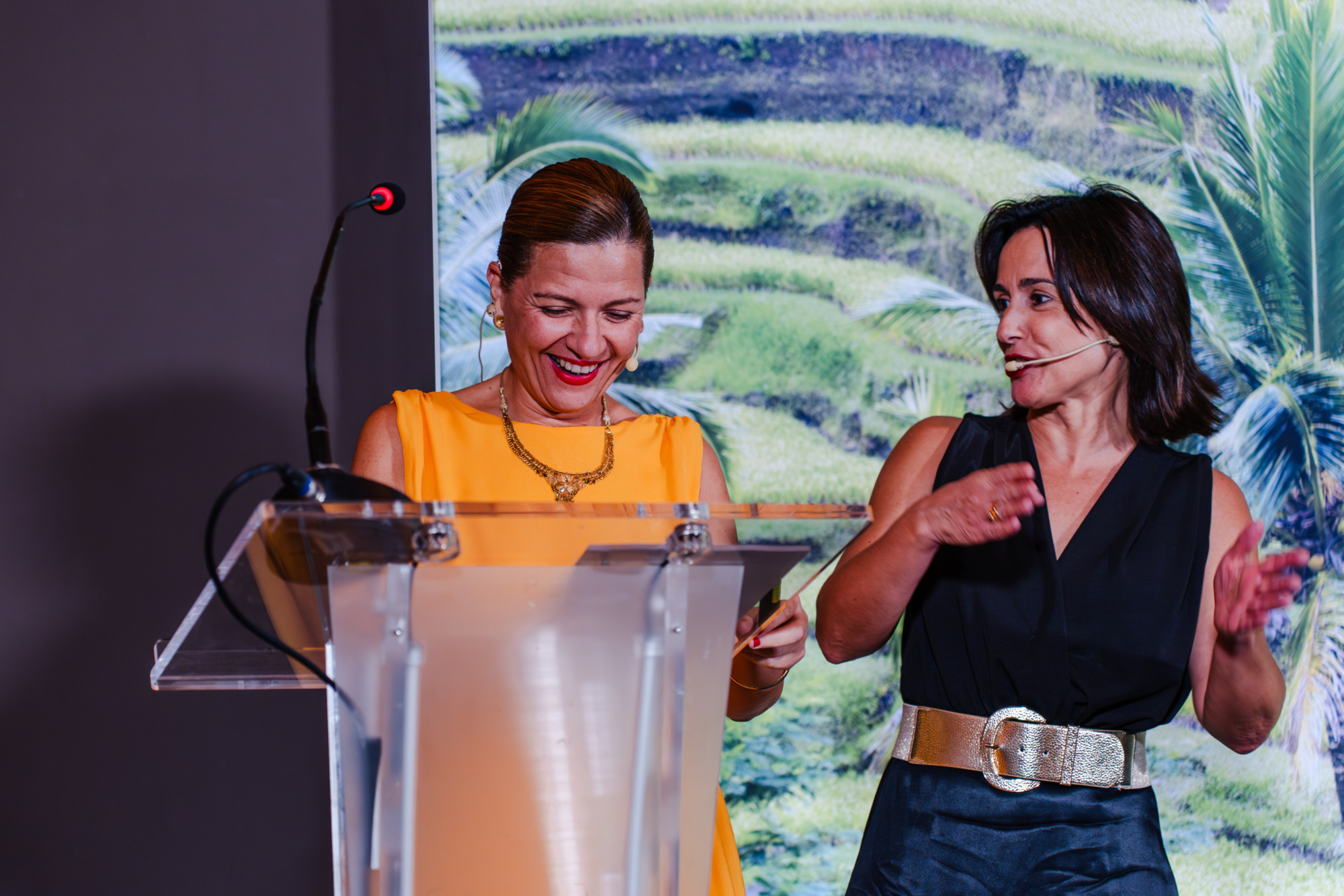 40 Aniversario Clavei