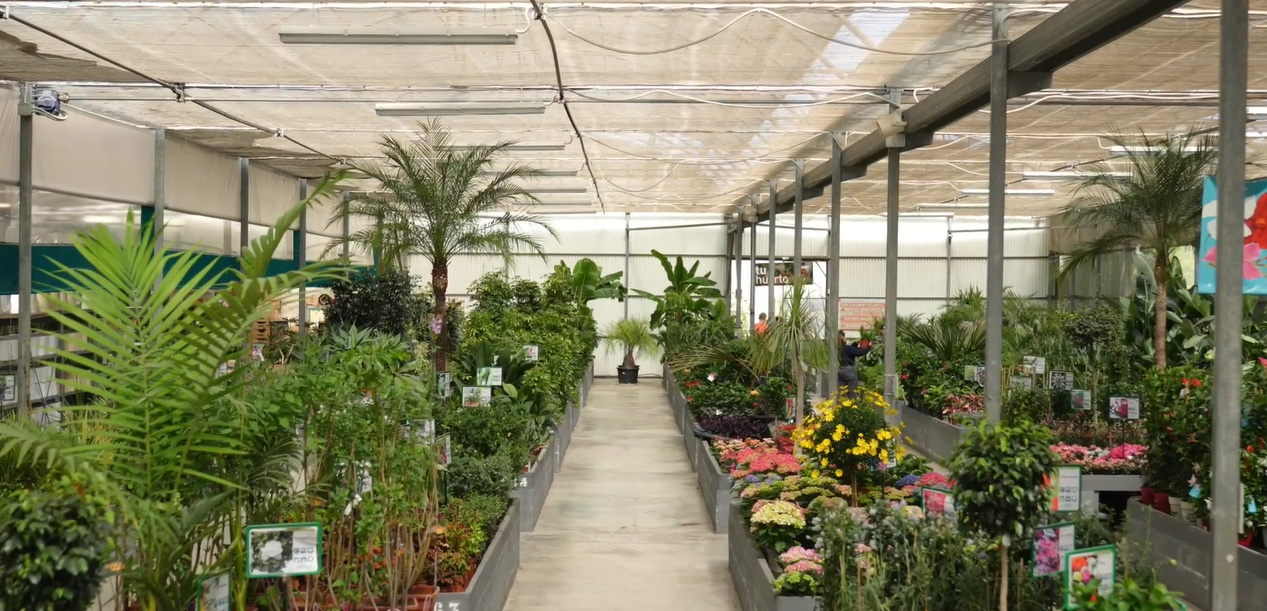 ERP para gardens y viveros