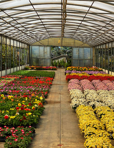 Interfaz del software ERP para viveros y centros de jardinería mostrando el panel de control de inventario de plantas, lotes de producción y pasaporte fitosanitario