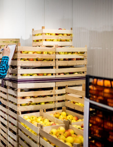 Errores típicos en trazabilidad en almacenes hortofrutícolas (y cómo evitarlos) Operario en almacén hortofrutícola escaneando un palet para evitar errores de trazabilidad por lote