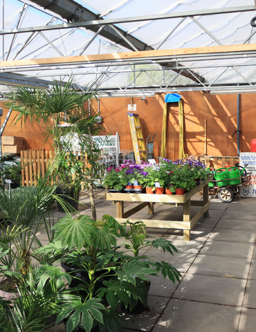 Operarios en un centro logístico de un garden center organizando los pedidos de planta viva y automatizando la validación de albaranes con el asistente inteligente Clavei Cowork IA