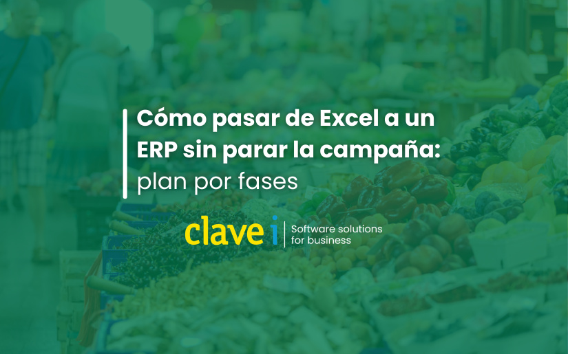 Cómo pasar de Excel a un ERP sin parar la campaña plan por fases