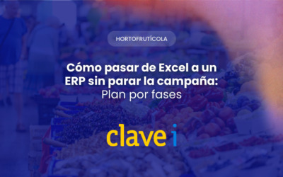 Cómo pasar de Excel a un ERP sin parar la campaña: plan por fases