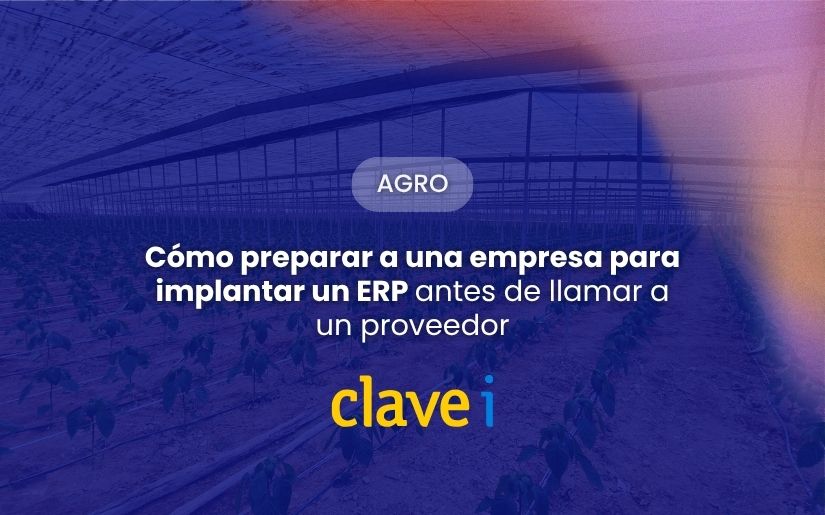 Cómo preparar a una empresa de frutas y verduras para implantar un ERP Agro antes de llamar a un proveedor