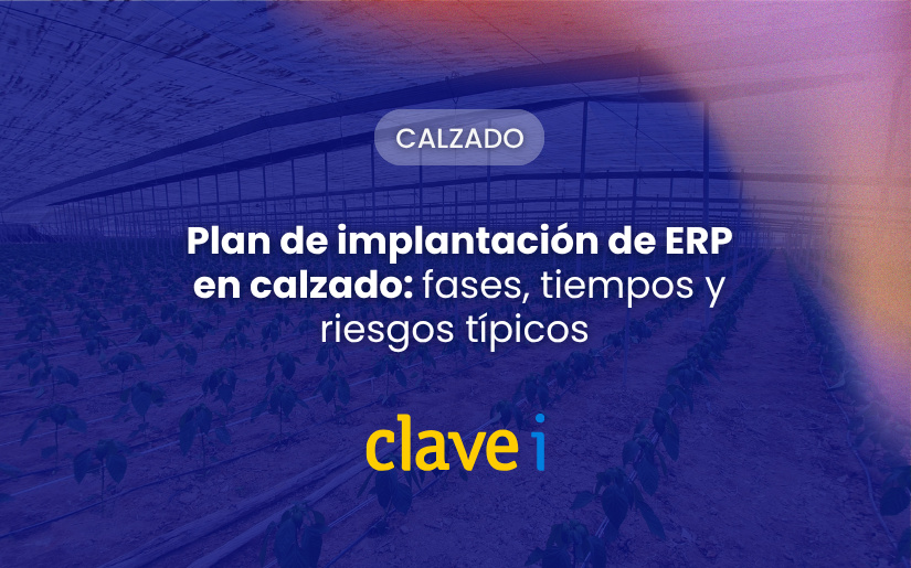Plan de implantación de ERP en calzado: fases, tiempos y riesgos típicos