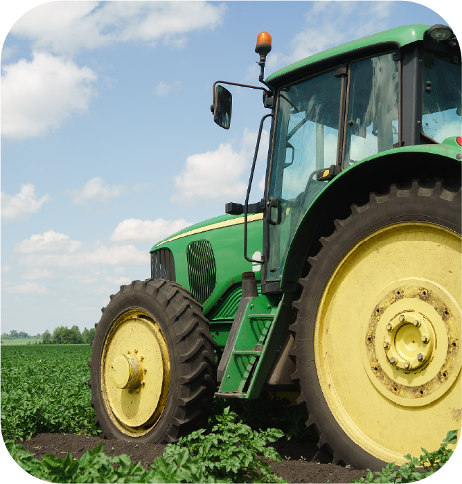 agricola