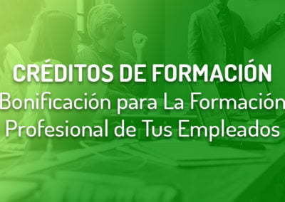 ¿Por qué muchas empresas desperdician el crédito de formación?