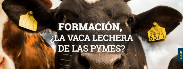 FORMACIÓN, ¿LA VACA LECHERA DE LAS PYMES?