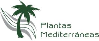 Plantas mediterráneas Plantas mediterráneas