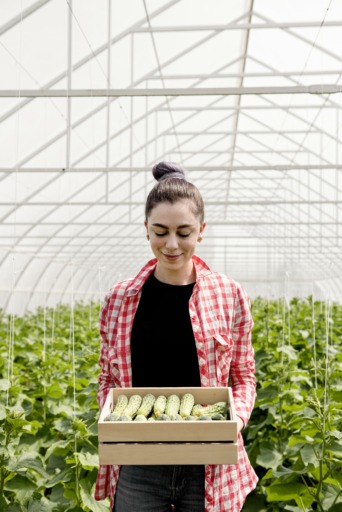 mujer-que-sostiene-caja-pepinos