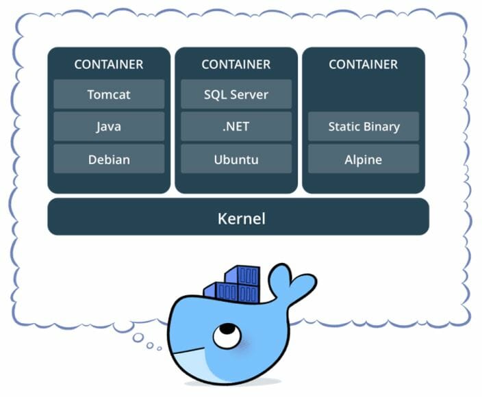 surger docker container