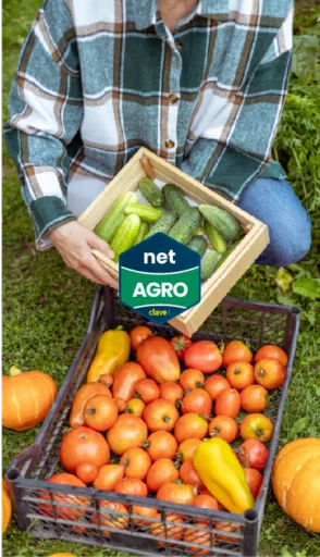 Beneficios de Mejorar la Trazabilidad con ERP con Netagro